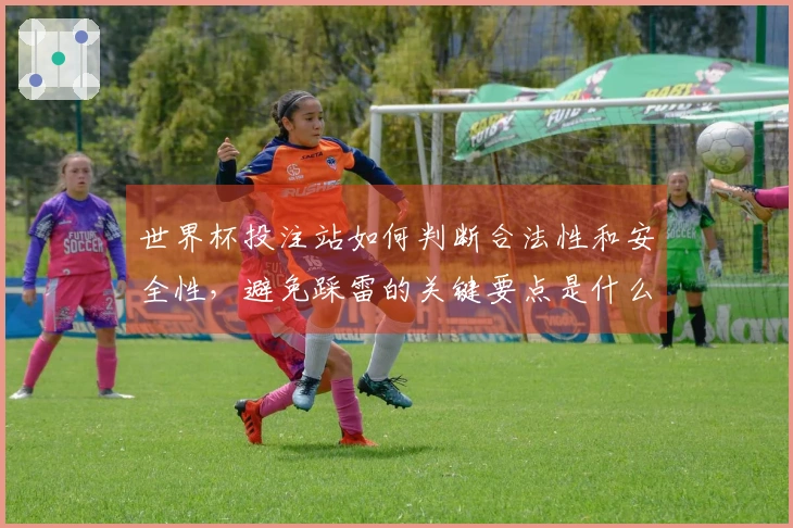 世界杯投注站如何判断合法性和安全性，避免踩雷的关键要点是什么