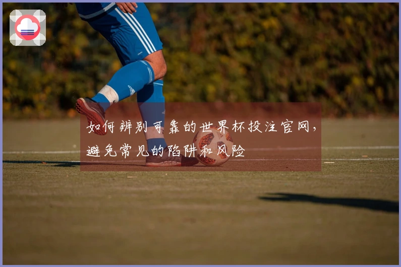 如何辨别可靠的世界杯投注官网，避免常见的陷阱和风险