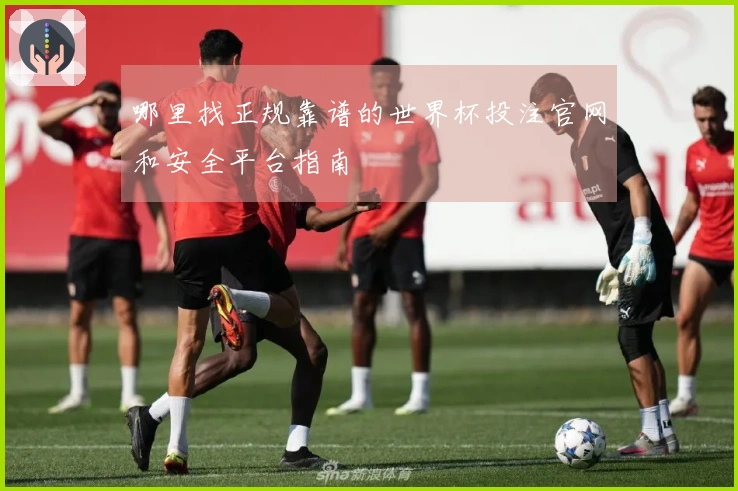 哪里找正规靠谱的世界杯投注官网和安全平台指南