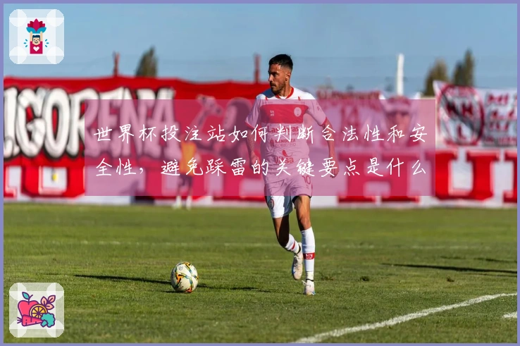 世界杯投注站如何判断合法性和安全性，避免踩雷的关键要点是什么
