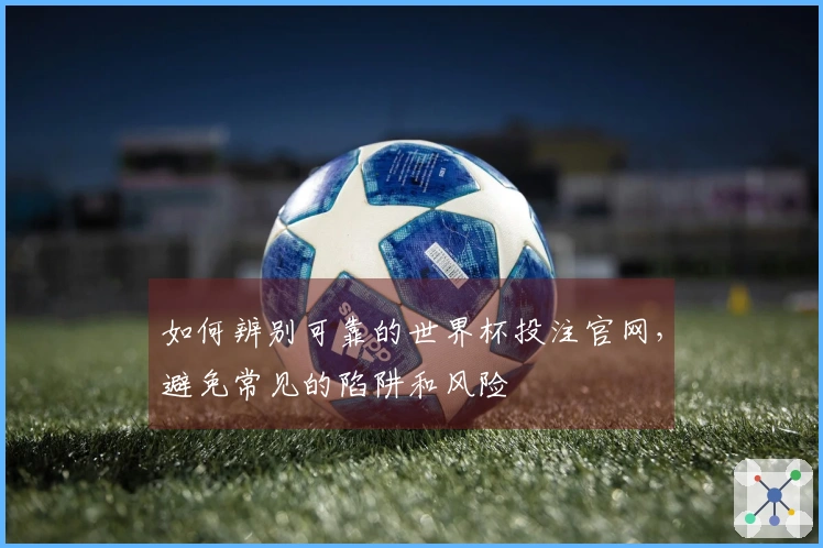如何辨别可靠的世界杯投注官网，避免常见的陷阱和风险
